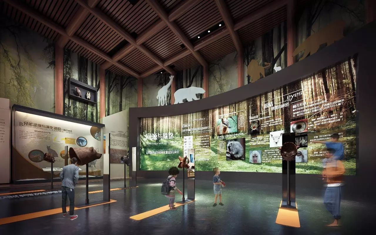 博物館展廳設計 博物館展廳設計