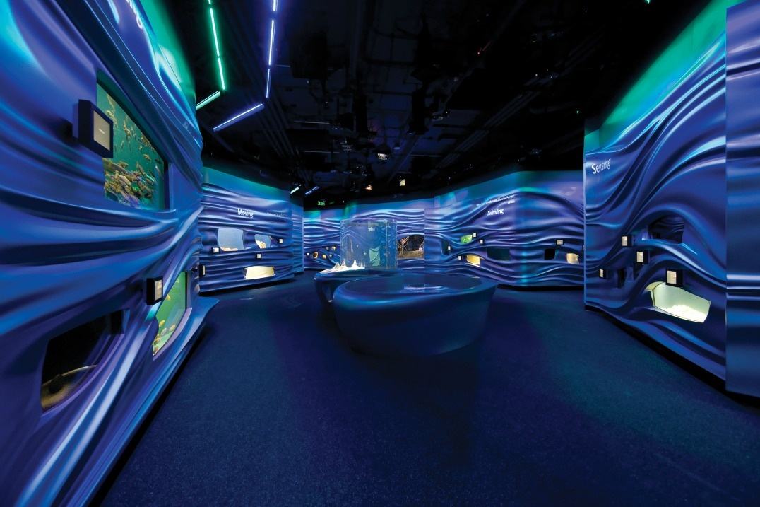 水族館展廳設計分析 水族館展廳設計分析