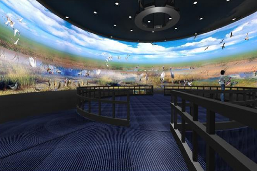 行業(yè)動態(tài)