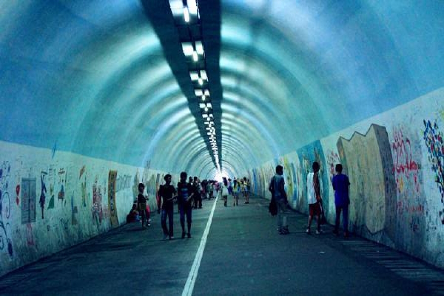 行業(yè)動態(tài)